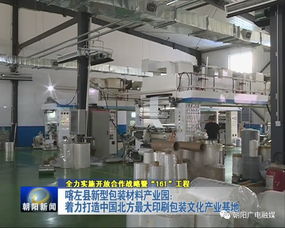 年產值20億元包裝產業園崛起，26家包裝印刷廠共筑產業新高地